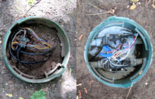 Learn more about Mole Guard